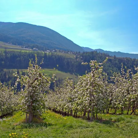 Thalerhof Hotel Rifiano